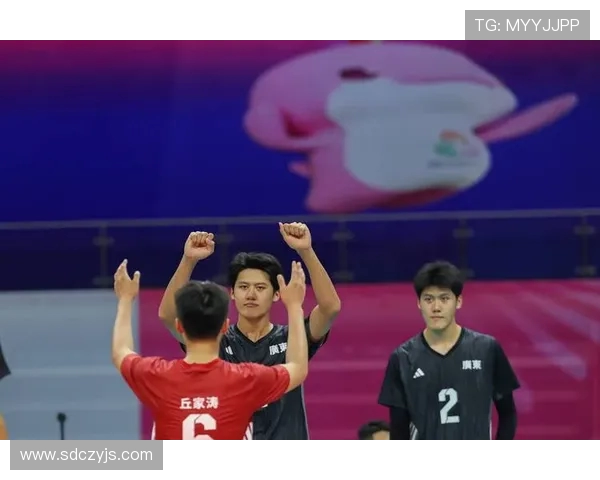 重庆排球队灵活性创新高引发全国关注排球界新风潮