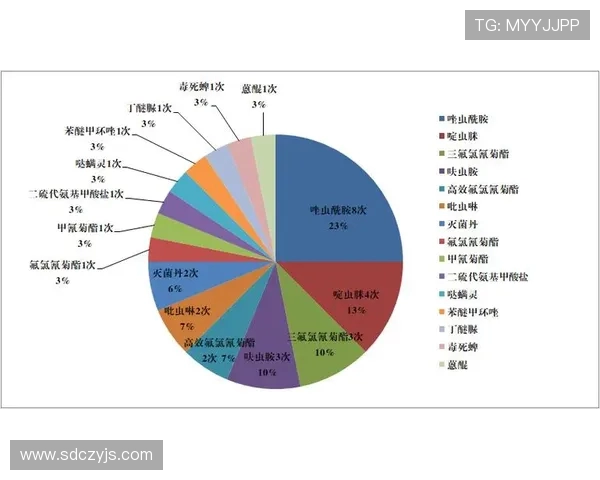 深圳滑板队默契配合分析及其对比赛成绩的影响探讨